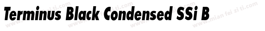 Terminus Black Condensed SSi Bold Condensed字体转换